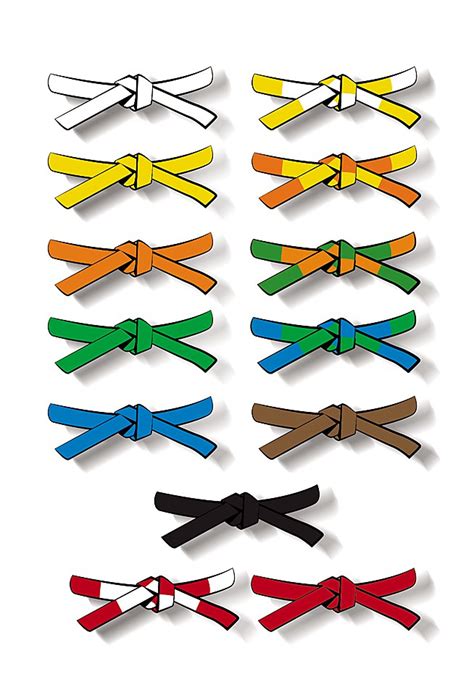 pouce kapok répétition les differentes couleurs de ceintures et leurs