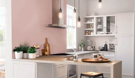 Couleur De Peinture Pour Cuisine Avec Meuble Blanc Tendancesdesign.fr