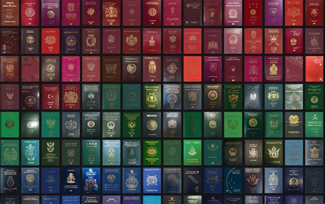 Quelle est la signification de la couleur de votre passeport ? AviaSim
