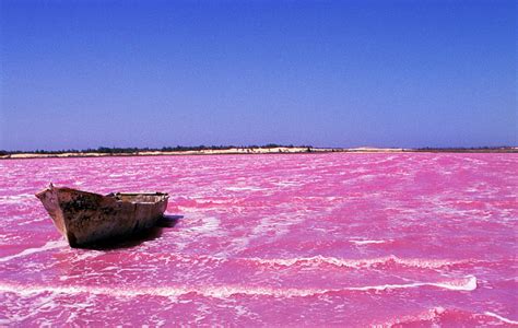 Lac Retba (Sénégal) Divers Couleurs.../colors Lac retba, Lac rose