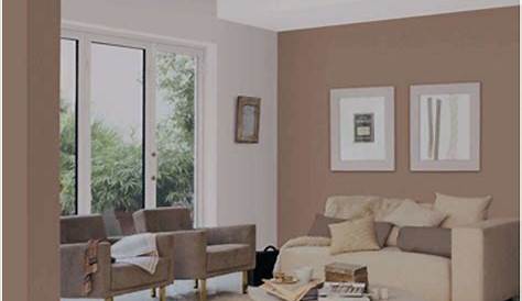 Couleur Gris Taupe Clair Deco Peinture Livreetvin.fr