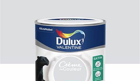 Peinture DULUX VALENTINE Crème De Couleur Gris Perle 0,5L