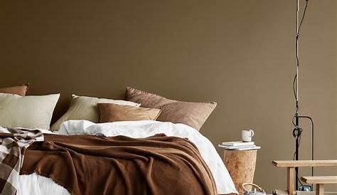 Couleur Peinture Chambre Marron De Moderne Le Apporte Le Confort