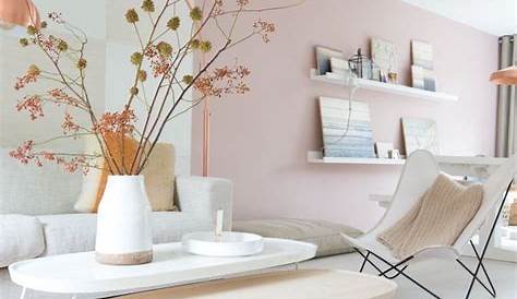 Couleur Rose Pale Mur Peinture Musa Papermint Pink Living Room, Home