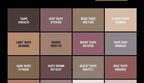 Couleur taupe 30 idées déco de la cuisine à la chambre