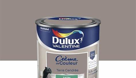 Couleur Terre Cendree Dulux Valentine DULUX VALENTINE Peinture Acrylique Crème De