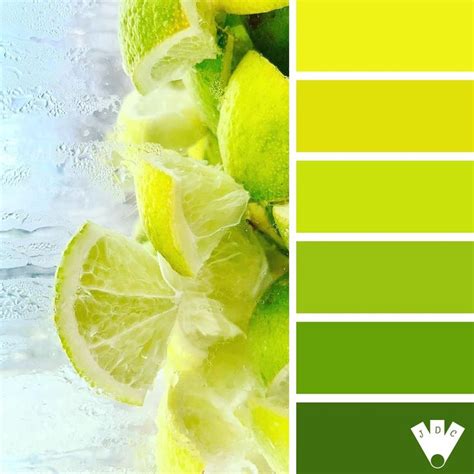 Lime Green Backgrounds (54+ images)