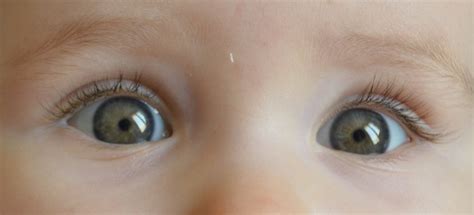 La couleur définitive des yeux de bébé Baby.be