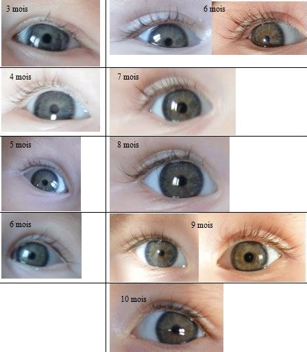 Qual idade sabemos a cor dos olhos dos bebês? Blog Minha Ótica Online