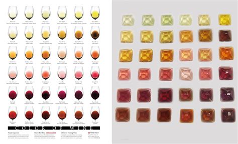 Learn The Secrets of Each Red Wine Color Wine Folly Red wine, Wine