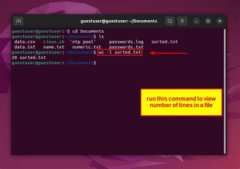Count Lines From Output Linux