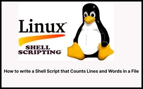 Count Lines Shell Script