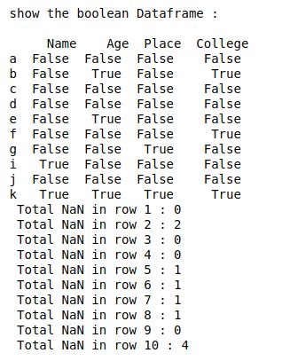 count nan in dataframe python