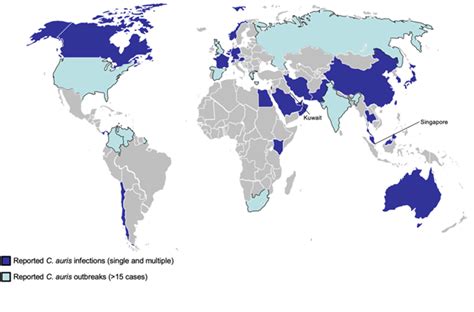 countries with candida auris outbreak
