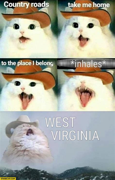 Cat singing country roads take me home to the place I belong *inhales