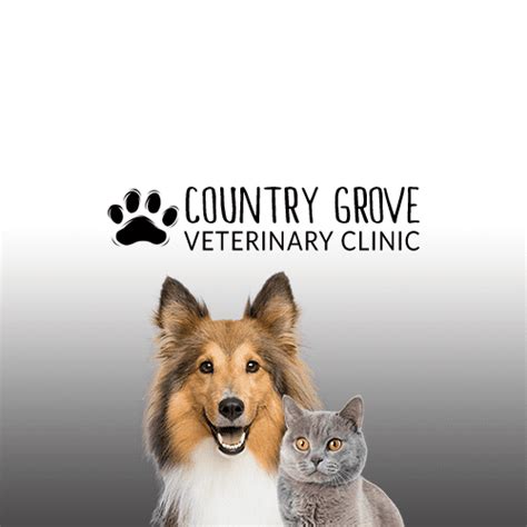 country grove veterinary clinic aldergrove bc