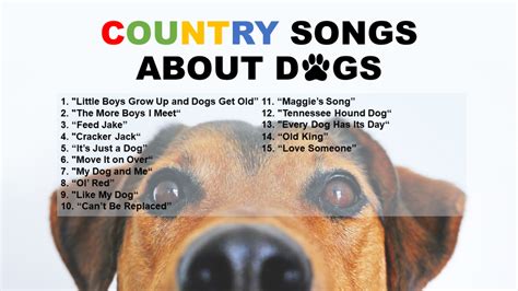 country song about dog that died