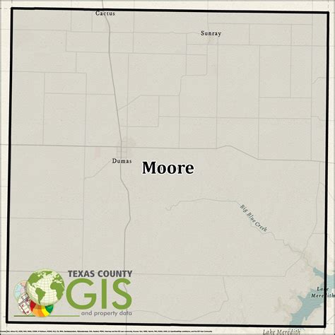 county of moore gis