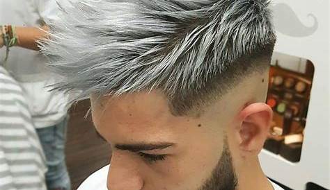 coiffure homme cheveux gris Coupe pour homme