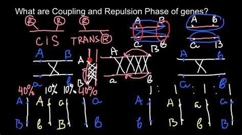 Coupling E Repulsion