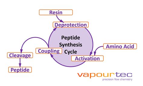 Coupling Efficiency In Peptide Synthesis