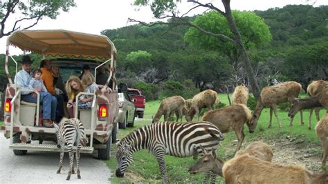coupon for fossil rim wildlife center