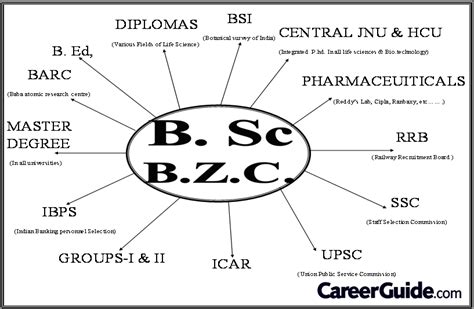 courses after bsc it