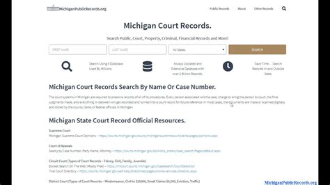 court case lookup mi