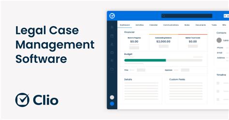 court case management software consulting
