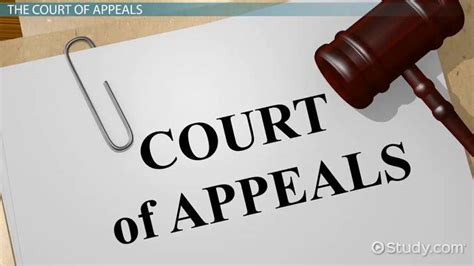 court of appeals meaning