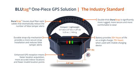 court-ordered gps tracking device