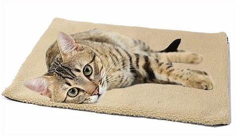 Coussin Chauffant Pour Chat Exterieur Les Meilleurs Tapis Chien Ou (édition