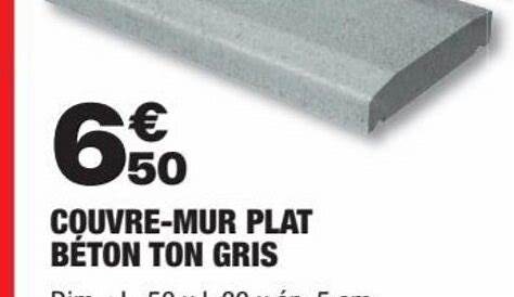 Couvre Mur Beton Brico Depot Crepi Ton Pierre 2 Pans Lisse Ton