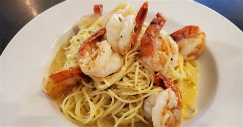 coventry direct scampi