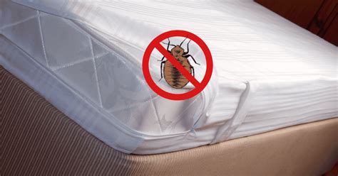 Covers For Mattress Bed Bugs