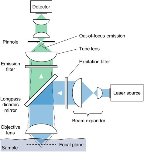 Coverslip Confocal Microscopy