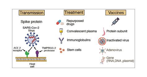 covid 19 treatment