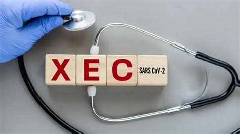 Covid 19 Xec Variant