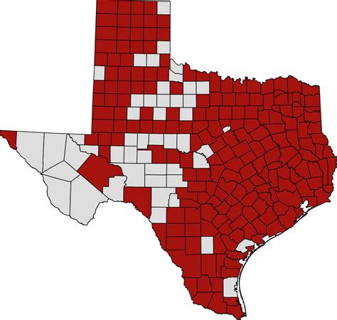 covid update in texas counties