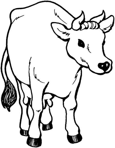Realistic Cow Coloring Pages at GetDrawings Free download