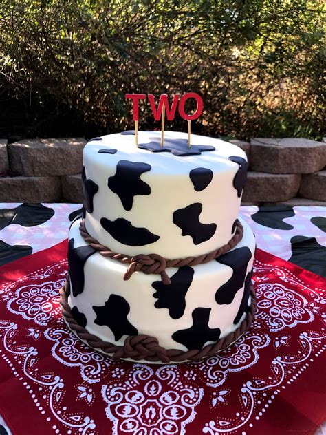 Barn/Cow print cake Birthday cake, Cake