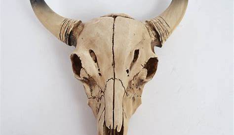 43cm White Carved Artificial Cow Skull, Realistic Wall Hanging, BoHo Theme