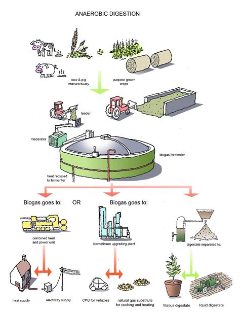 Cow Dung Paper Making Process
