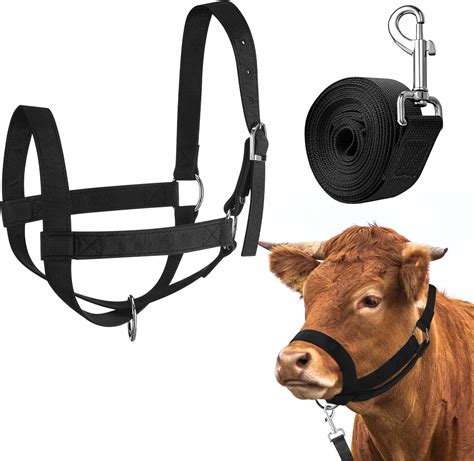 Master Your Herd: The Essential Guide to the Perfect Cow Halter