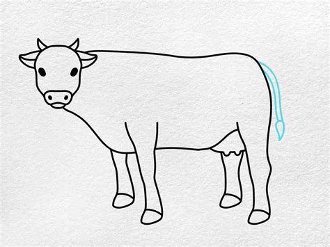 Cow Simple Drawing