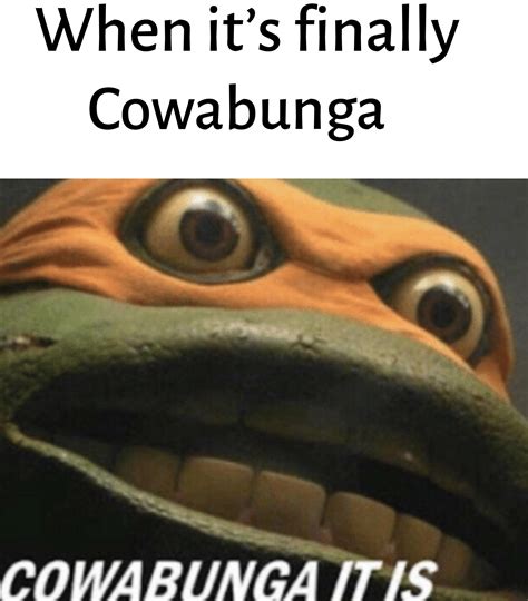 cowabunga it is memes