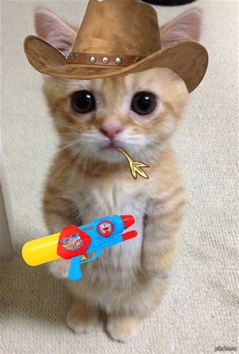 Cowboy Cat