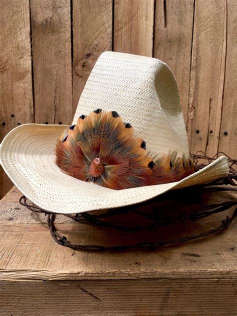 cowboy hat with feather band