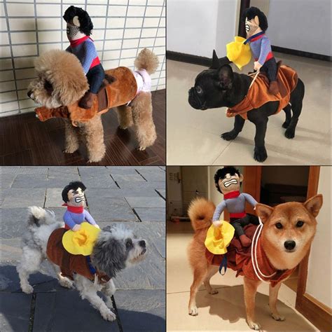 cowboy riding dog costume