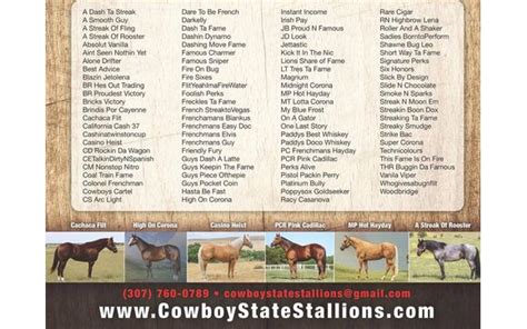 cowboy state stallion auction